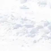 うさぎ．の画像