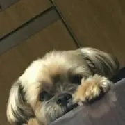 れおっちの画像