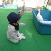 cocoaの画像