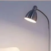saraの画像