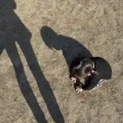 結の画像