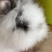 まーくん