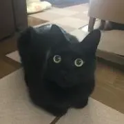 みるく