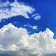 ひらりんの画像