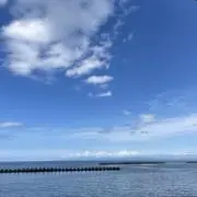 ポポ
