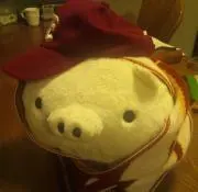 ゆたんぽの画像