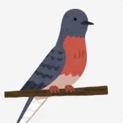 KDの画像