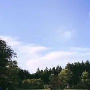 まめもち☆