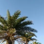 ぽんた【プロフ必読】の画像