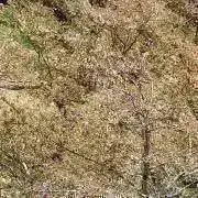 AniMa（プロフィール必読）の画像