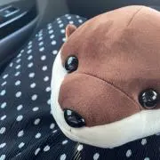 mikanの画像