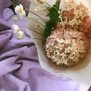 ひかるの画像