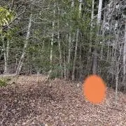 sooraoの画像