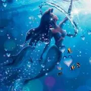 s☆e