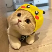 むのななの画像