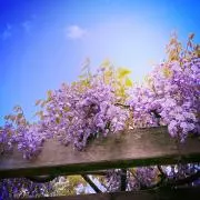 まり【プロフィールご一読下さい】の画像