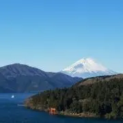小次郎の画像
