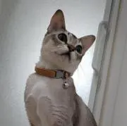 たかじの画像
