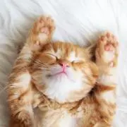 Mの画像