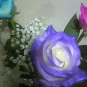 (・∀・)