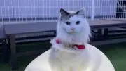 長い旅路の果てに見つけた絆