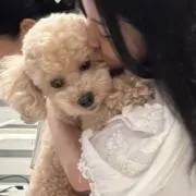 emの画像