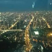 アナトミー