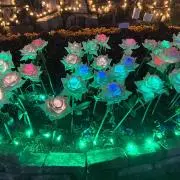 れむの画像