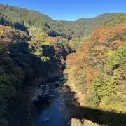 kの画像