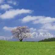 べりーないす⛄️の画像
