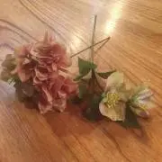 レイ☆プロフ必読