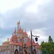 ぽてとの画像