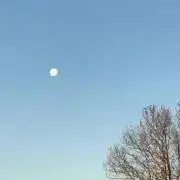 ♪の画像