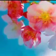 いちご☺︎
