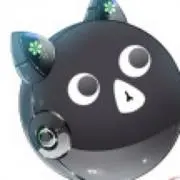 この画像