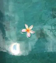 ひまりの画像
