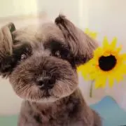 りー