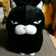 ポン太