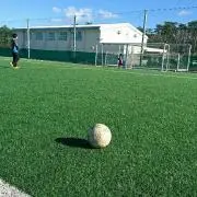 たけぞう19の画像