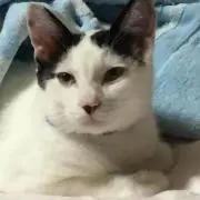 まめぞう
