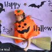 わんこ