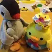 ☆pinpiyo☆の画像