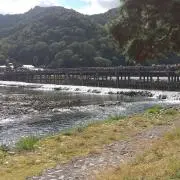 Aoiの画像