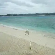 はる