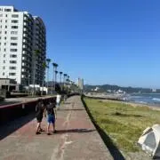 由の画像