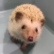 るとの画像