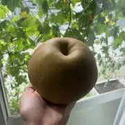 真琴園の画像