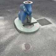 りゅうの画像