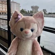 しんちゃんの画像