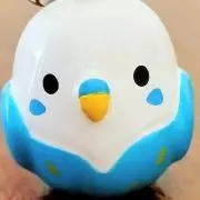 ろんの画像